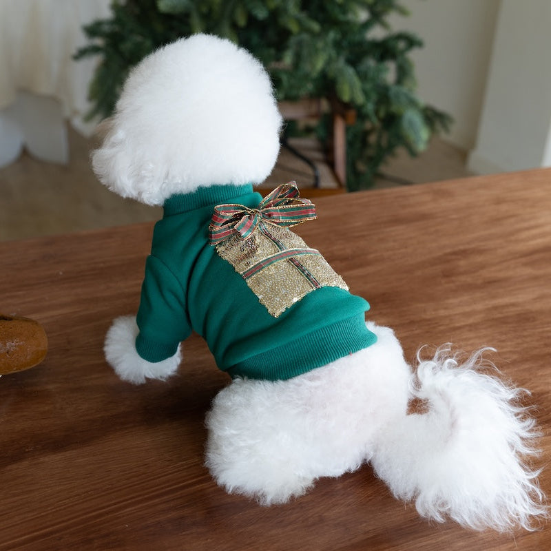 Christmas Gift Pattern Dog Cat Hoodie